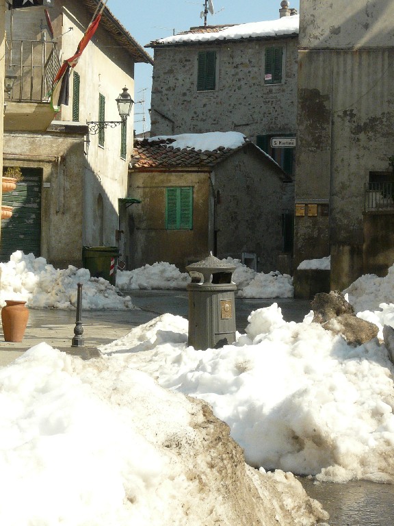 colpo di coda invernale e anfibi